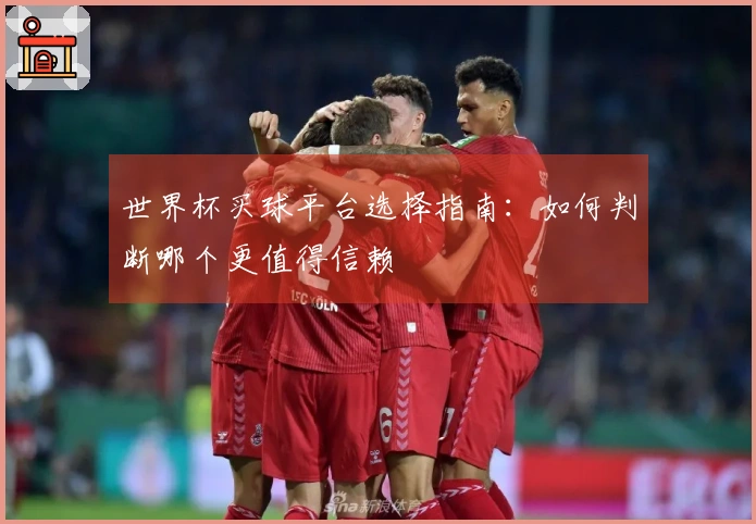 世界杯买球平台选择指南：如何判断哪个更值得信赖