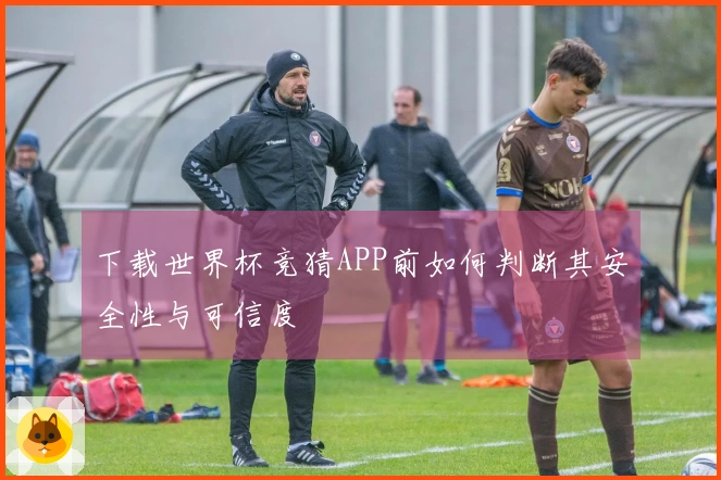 下载世界杯竞猜APP前如何判断其安全性与可信度
