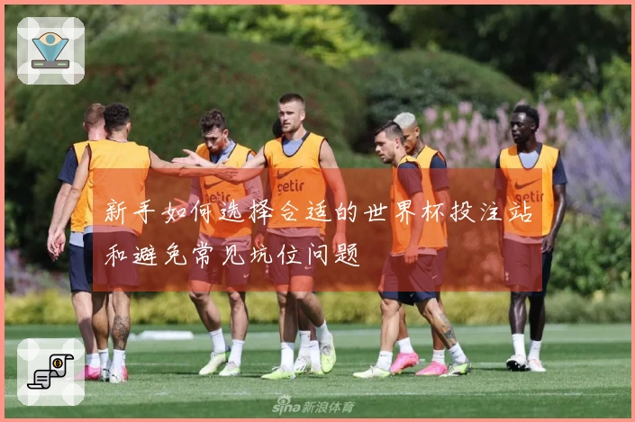 新手如何选择合适的世界杯投注站和避免常见坑位问题