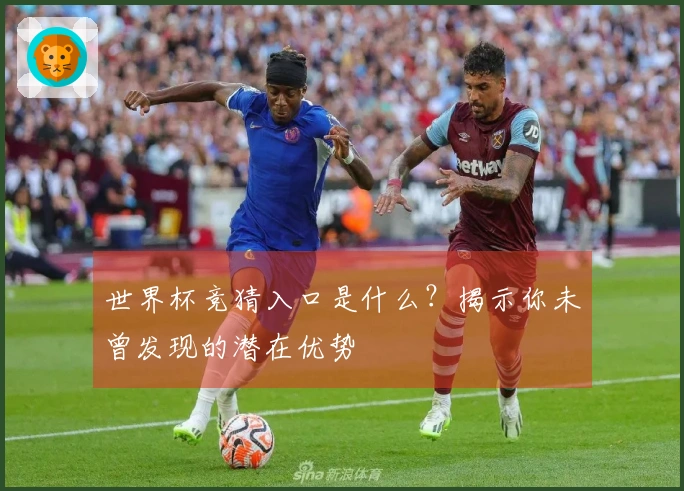 世界杯竞猜入口是什么？揭示你未曾发现的潜在优势