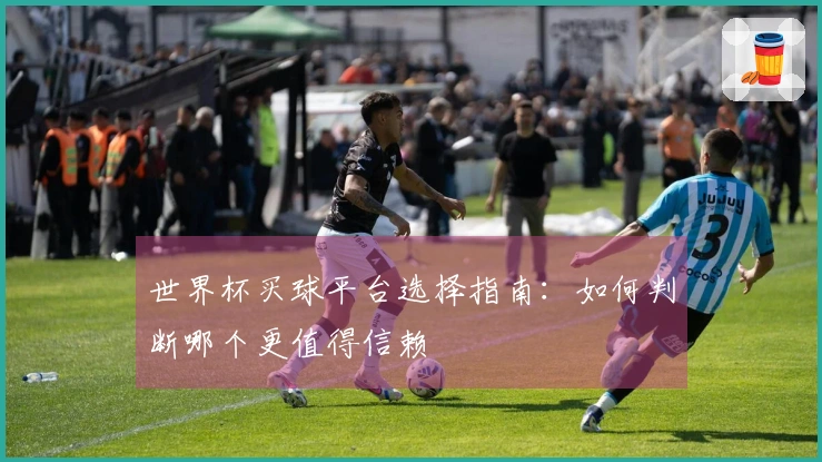 世界杯买球平台选择指南：如何判断哪个更值得信赖
