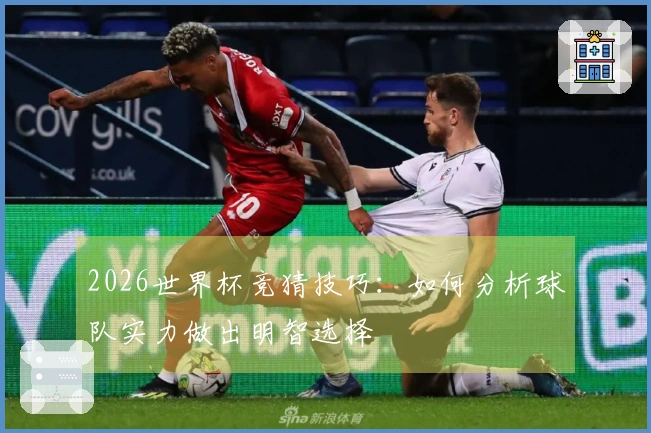 2026世界杯竞猜技巧：如何分析球队实力做出明智选择