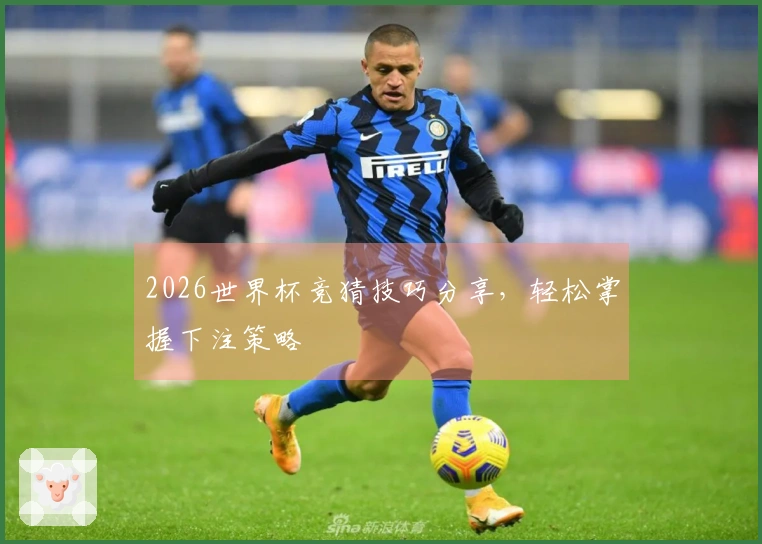2026世界杯竞猜技巧分享，轻松掌握下注策略